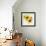 Summertime Sunflowers I-Irina Trzaskos Studios-Framed Giclee Print displayed on a wall