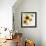 Summertime Sunflowers II-Irina Trzaskos Studios-Framed Giclee Print displayed on a wall