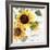 Summertime Sunflowers II-Irina Trzaskos Studios-Framed Giclee Print