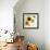 Summertime Sunflowers II-Irina Trzaskos Studios-Framed Giclee Print displayed on a wall