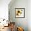 Summertime Sunflowers II-Irina Trzaskos Studios-Framed Giclee Print displayed on a wall