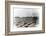 summertime-Gilbert Claes-Framed Photographic Print