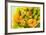 Summery Citrus Salad-phofotos-Framed Photographic Print