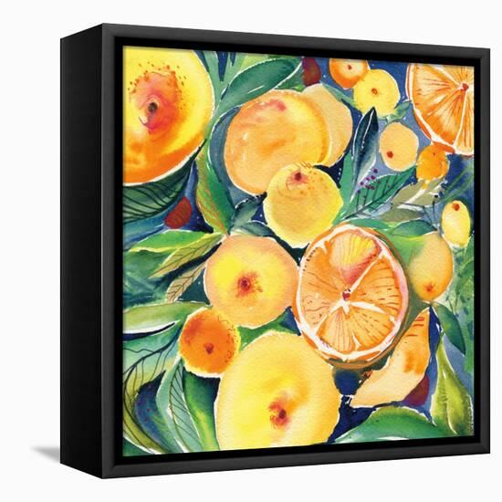 Summery Citrus-Kristy Rice-Framed Stretched Canvas