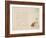 Sumo Wrestler, C.1847-53-Ohara Donshu-Framed Giclee Print