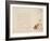 Sumo Wrestler, C.1847-53-Ohara Donshu-Framed Giclee Print