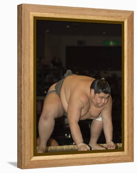 Sumo Wrestler Competing, Grand Taikai Sumo Wrestling Tournament, Kokugikan Hall Stadium, Tokyo-Christian Kober-Framed Premier Image Canvas