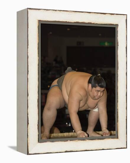 Sumo Wrestler Competing, Grand Taikai Sumo Wrestling Tournament, Kokugikan Hall Stadium, Tokyo-Christian Kober-Framed Premier Image Canvas