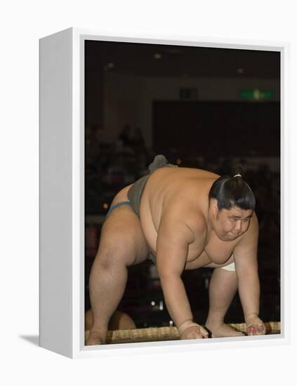 Sumo Wrestler Competing, Grand Taikai Sumo Wrestling Tournament, Kokugikan Hall Stadium, Tokyo-Christian Kober-Framed Premier Image Canvas