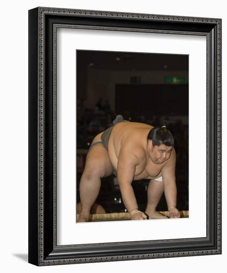 Sumo Wrestler Competing, Grand Taikai Sumo Wrestling Tournament, Kokugikan Hall Stadium, Tokyo-Christian Kober-Framed Photographic Print