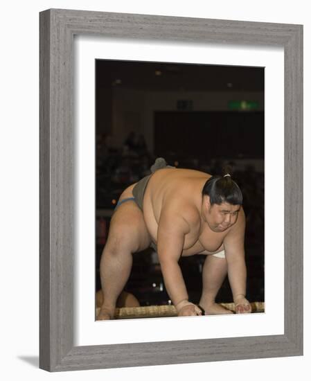 Sumo Wrestler Competing, Grand Taikai Sumo Wrestling Tournament, Kokugikan Hall Stadium, Tokyo-Christian Kober-Framed Photographic Print