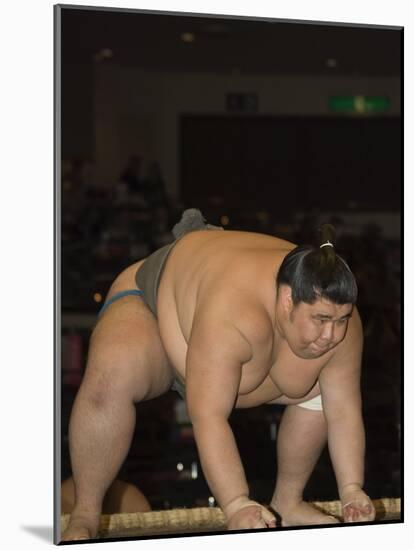 Sumo Wrestler Competing, Grand Taikai Sumo Wrestling Tournament, Kokugikan Hall Stadium, Tokyo-Christian Kober-Mounted Photographic Print