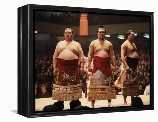 Sumo Wrestler-null-Framed Premier Image Canvas