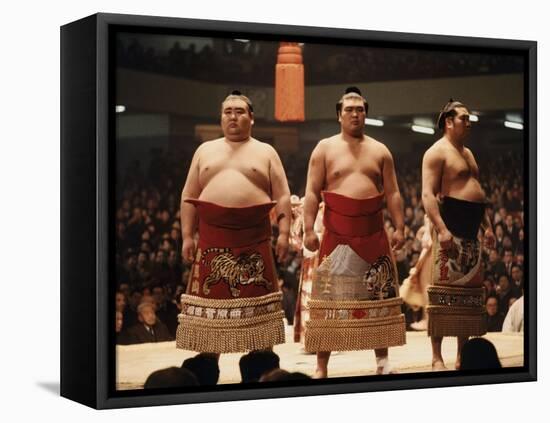 Sumo Wrestler-null-Framed Premier Image Canvas