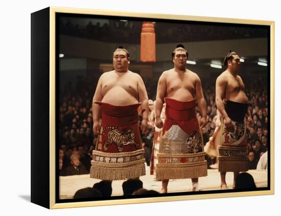 Sumo Wrestler-null-Framed Premier Image Canvas