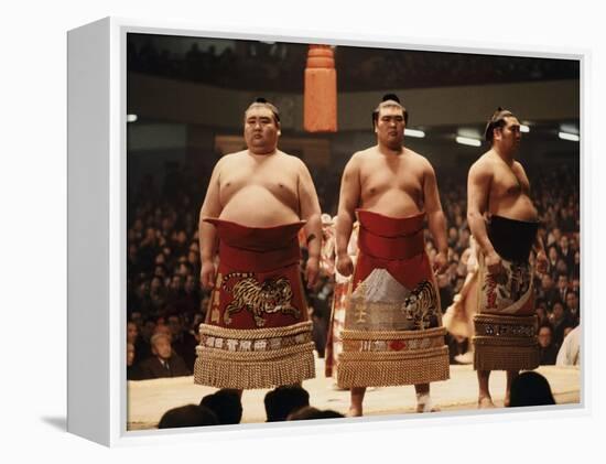 Sumo Wrestler-null-Framed Premier Image Canvas