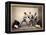 Sumo Wrestlers, c.1870-80-Felice Beato-Framed Premier Image Canvas