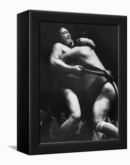 Sumo Wrestlers During Match-Bill Ray-Framed Premier Image Canvas