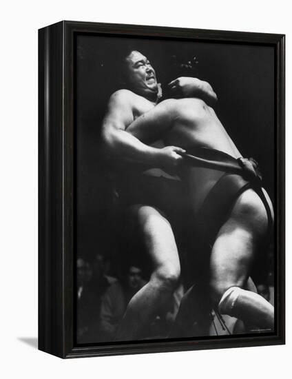 Sumo Wrestlers During Match-Bill Ray-Framed Premier Image Canvas