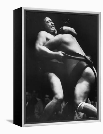 Sumo Wrestlers During Match-Bill Ray-Framed Premier Image Canvas