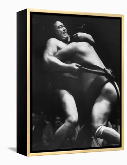 Sumo Wrestlers During Match-Bill Ray-Framed Premier Image Canvas