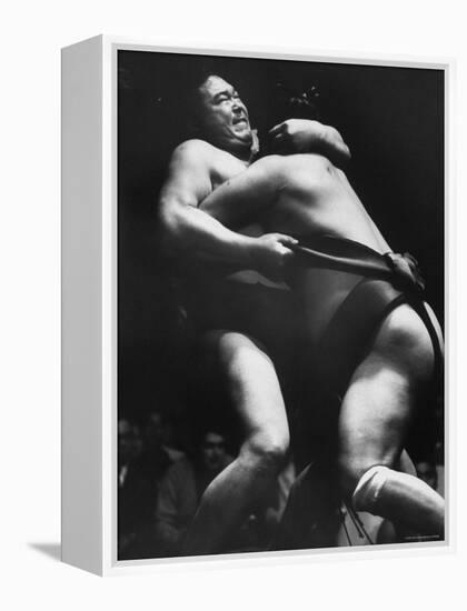 Sumo Wrestlers During Match-Bill Ray-Framed Premier Image Canvas