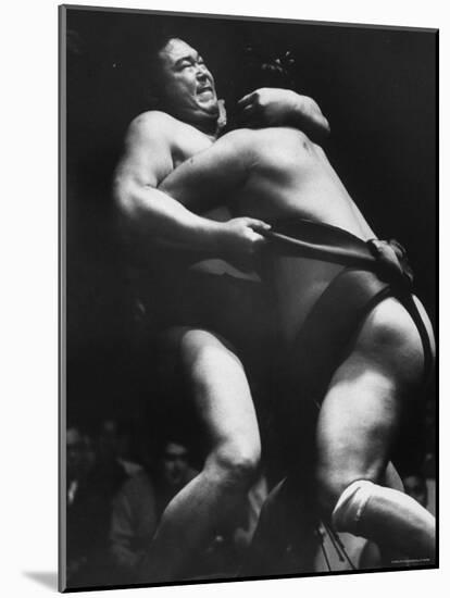 Sumo Wrestlers During Match-Bill Ray-Mounted Photographic Print