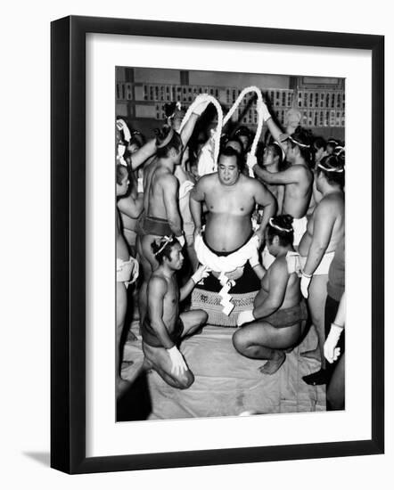 Sumo Wrestlers in Japan. Ca 1950s-null-Framed Photo