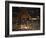 Sumo Wrestlers, Kokugikan Hall Stadium, Tokyo, Japan-Christian Kober-Framed Photographic Print