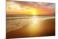 Photographic Print