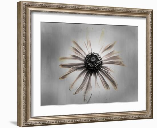 Sun 1 Copy-Lori Hutchison-Framed Photographic Print