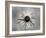 Sun 1 Copy-Lori Hutchison-Framed Photographic Print