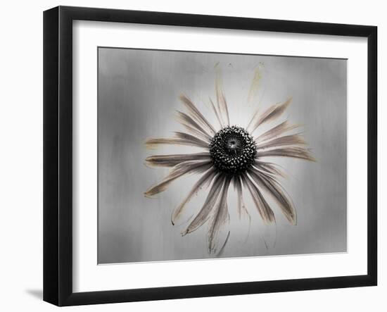 Sun 1 Copy-Lori Hutchison-Framed Photographic Print