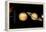 Sun And Its Planets-Detlev Van Ravenswaay-Framed Premier Image Canvas