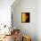 Sun And Its Planets-Detlev Van Ravenswaay-Framed Premier Image Canvas displayed on a wall