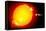 Sun And Its Planets-Detlev Van Ravenswaay-Framed Premier Image Canvas