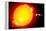 Sun And Its Planets-Detlev Van Ravenswaay-Framed Premier Image Canvas