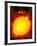 Sun And Its Planets-Detlev Van Ravenswaay-Framed Photographic Print