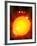 Sun And Its Planets-Detlev Van Ravenswaay-Framed Photographic Print