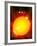 Sun And Its Planets-Detlev Van Ravenswaay-Framed Photographic Print