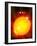 Sun And Its Planets-Detlev Van Ravenswaay-Framed Photographic Print