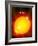 Sun And Its Planets-Detlev Van Ravenswaay-Framed Photographic Print