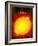 Sun And Its Planets-Detlev Van Ravenswaay-Framed Photographic Print