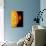 Sun And Its Planets-Detlev Van Ravenswaay-Photographic Print displayed on a wall