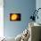 Sun And Its Planets-Detlev Van Ravenswaay-Photographic Print displayed on a wall