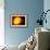 Sun And Its Planets-Detlev Van Ravenswaay-Framed Photographic Print displayed on a wall