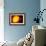 Sun And Its Planets-Detlev Van Ravenswaay-Framed Photographic Print displayed on a wall