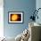 Sun And Its Planets-Detlev Van Ravenswaay-Framed Photographic Print displayed on a wall