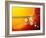 Sun And Its Planets-Detlev Van Ravenswaay-Framed Photographic Print