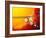 Sun And Its Planets-Detlev Van Ravenswaay-Framed Photographic Print